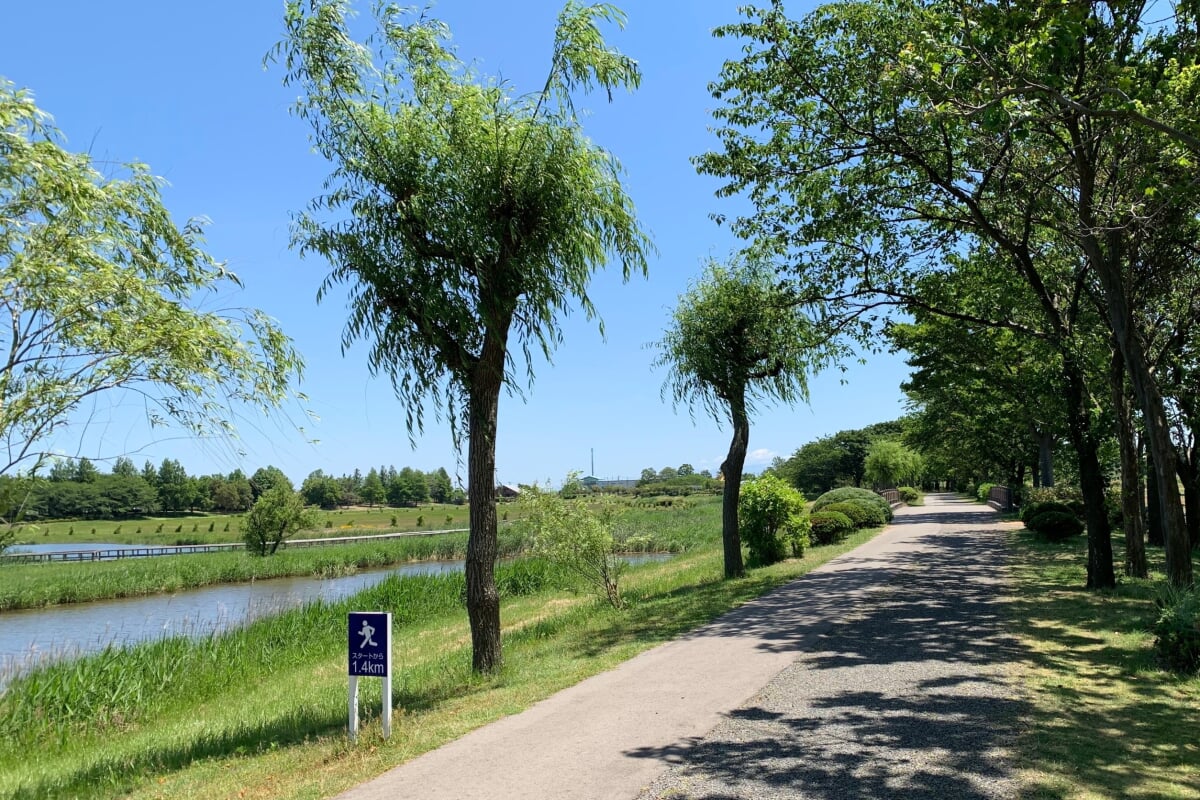 上堰潟公園の写真9