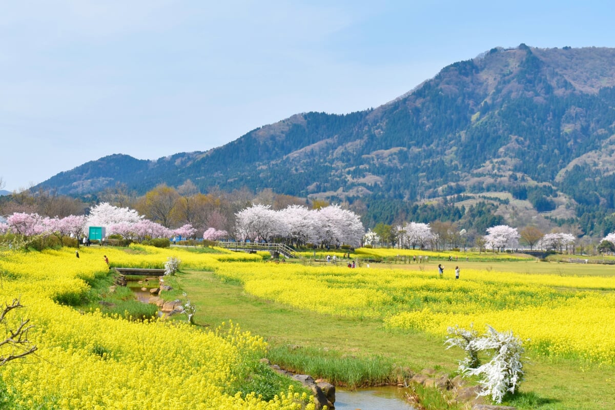 上堰潟公園の写真10