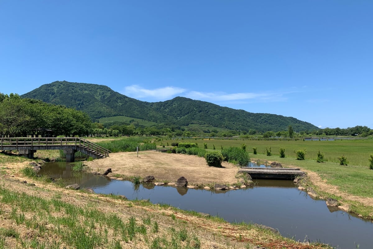 上堰潟公園の写真11