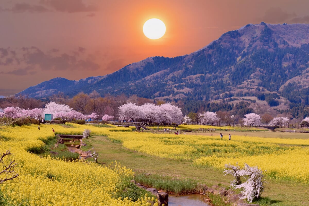 上堰潟公園の写真12