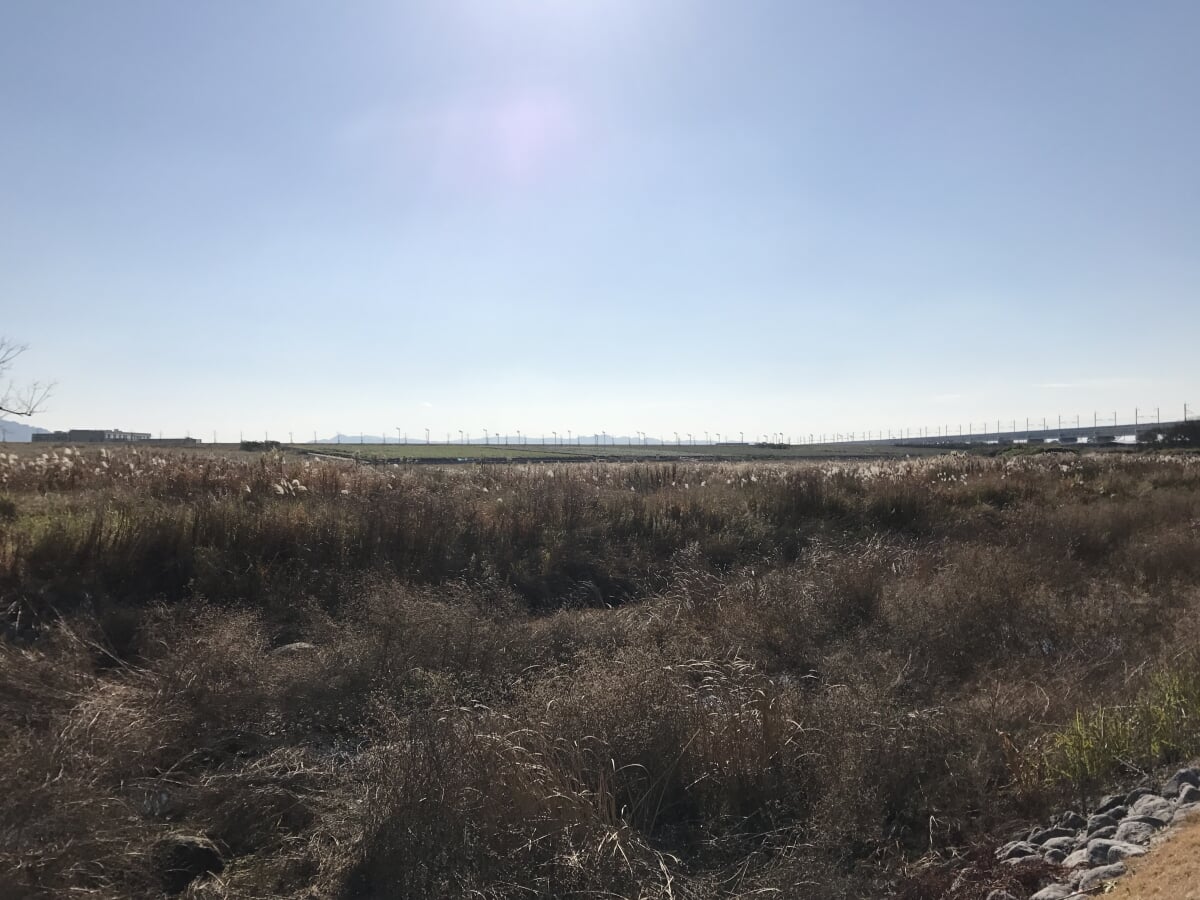 県営 筑後広域公園の写真3