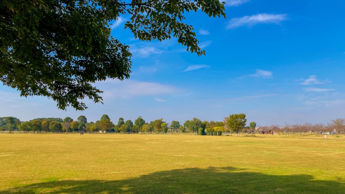 県営 筑後広域公園の写真5