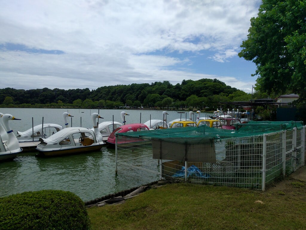 千波公園の写真5