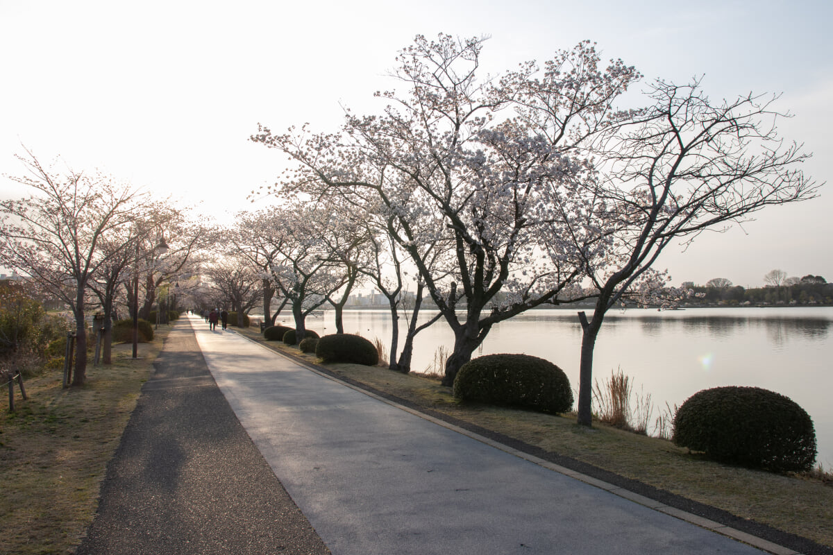 千波公園の写真9