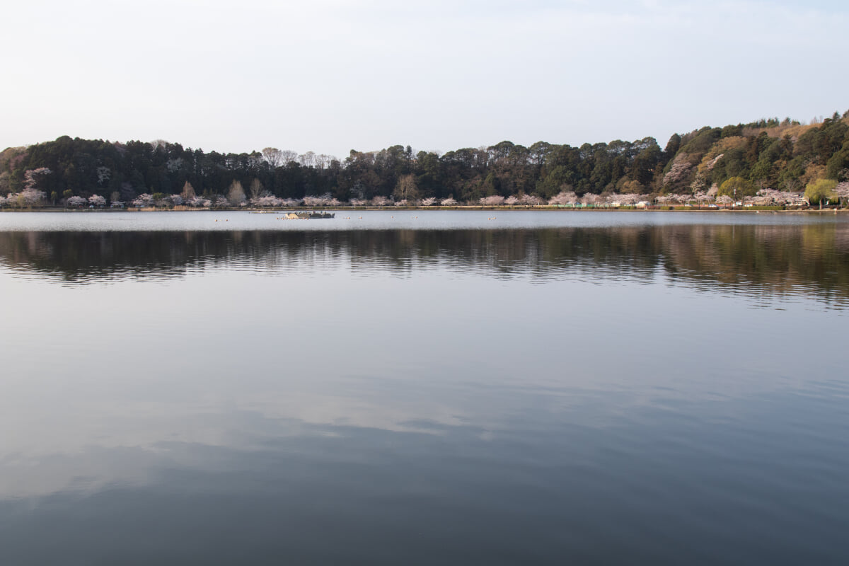 千波公園の写真10