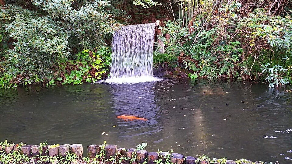 千波公園の写真13