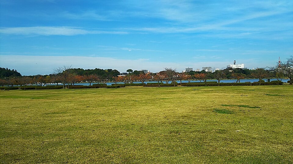 千波公園の写真15
