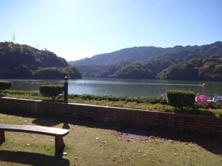 神奈川県立相模湖公園の写真3
