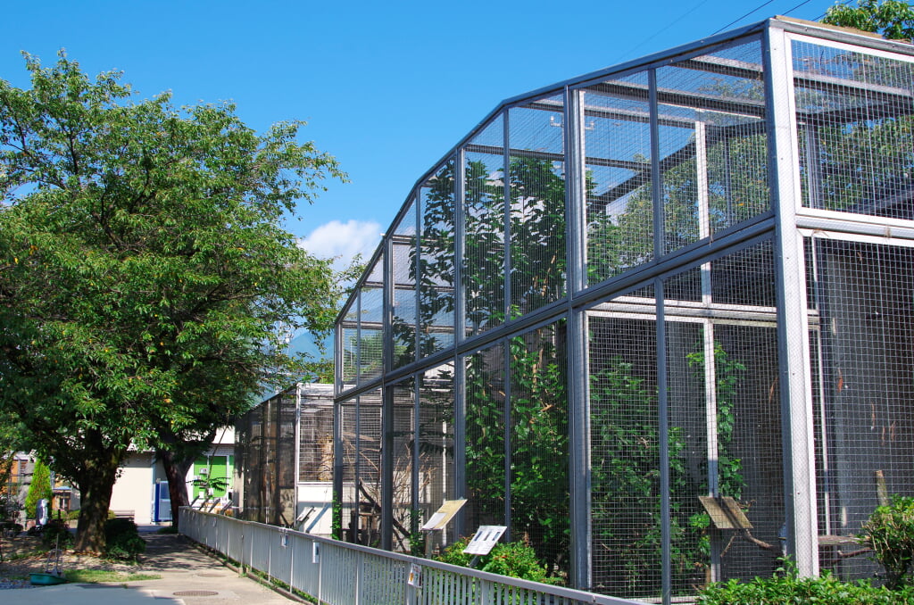 飯田市立動物園の写真2