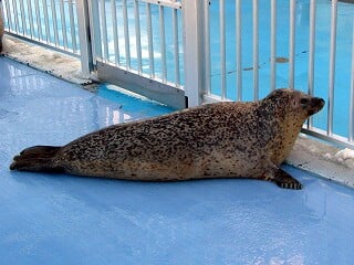 オホーツクとっかりセンターの写真2