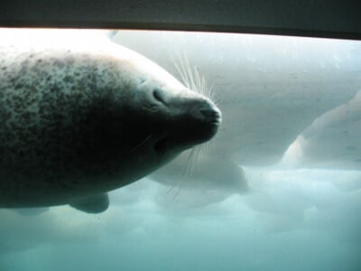 オホーツクとっかりセンターの写真4