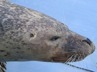 オホーツクとっかりセンターの写真5