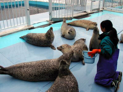 オホーツクとっかりセンターの写真6