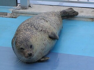 オホーツクとっかりセンターの写真7