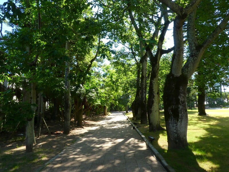 宮交ボタニックガーデン青島の写真3