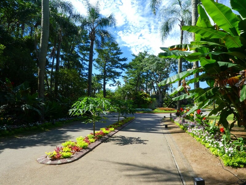 宮交ボタニックガーデン青島の写真4