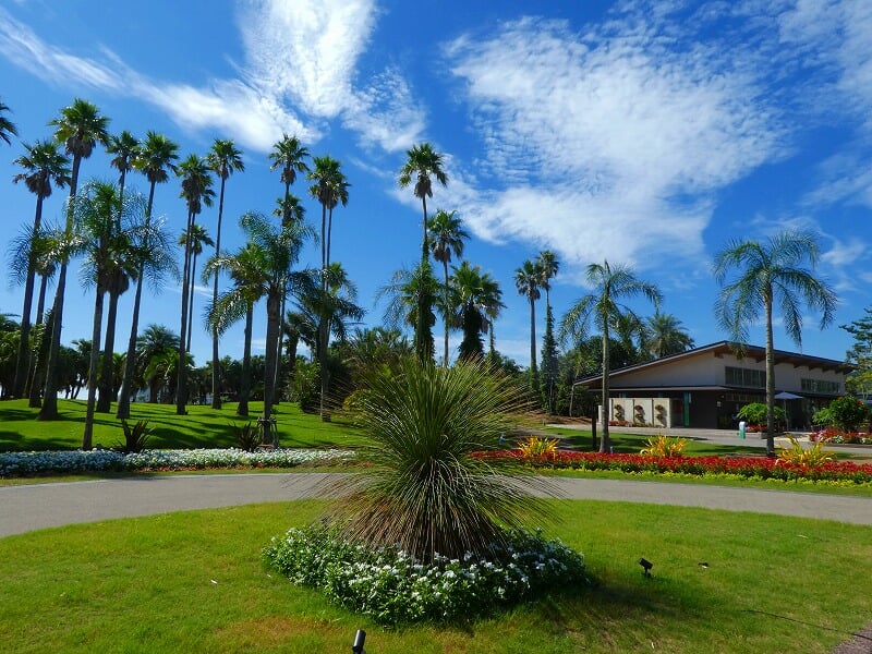 宮交ボタニックガーデン青島の写真5