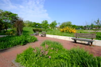 新琴似二番通公園