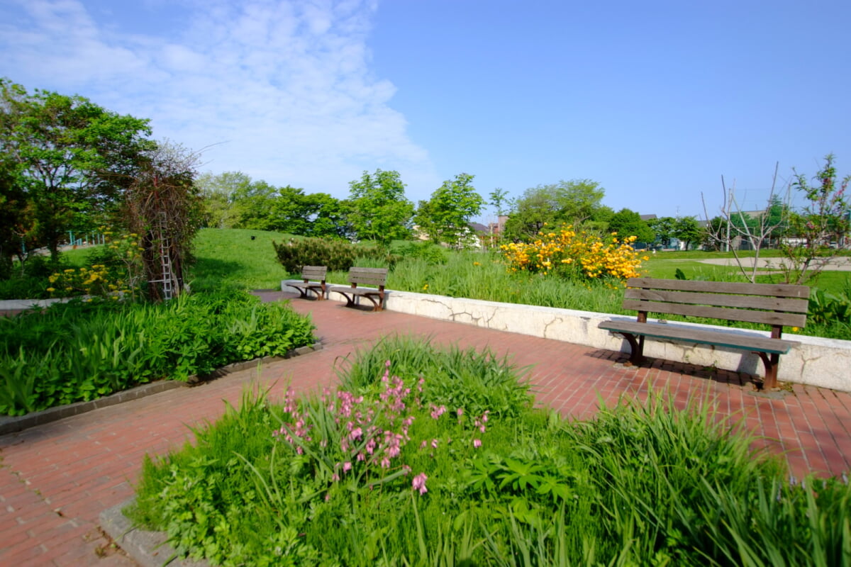 新琴似二番通公園の写真1