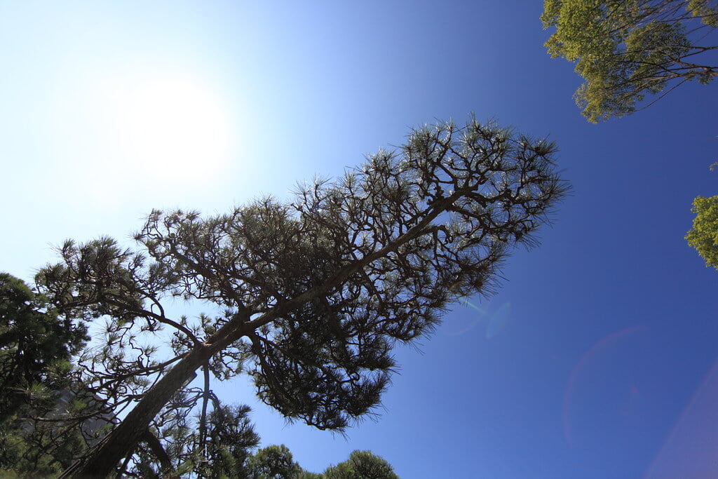 県立幕張海浜公園の写真11