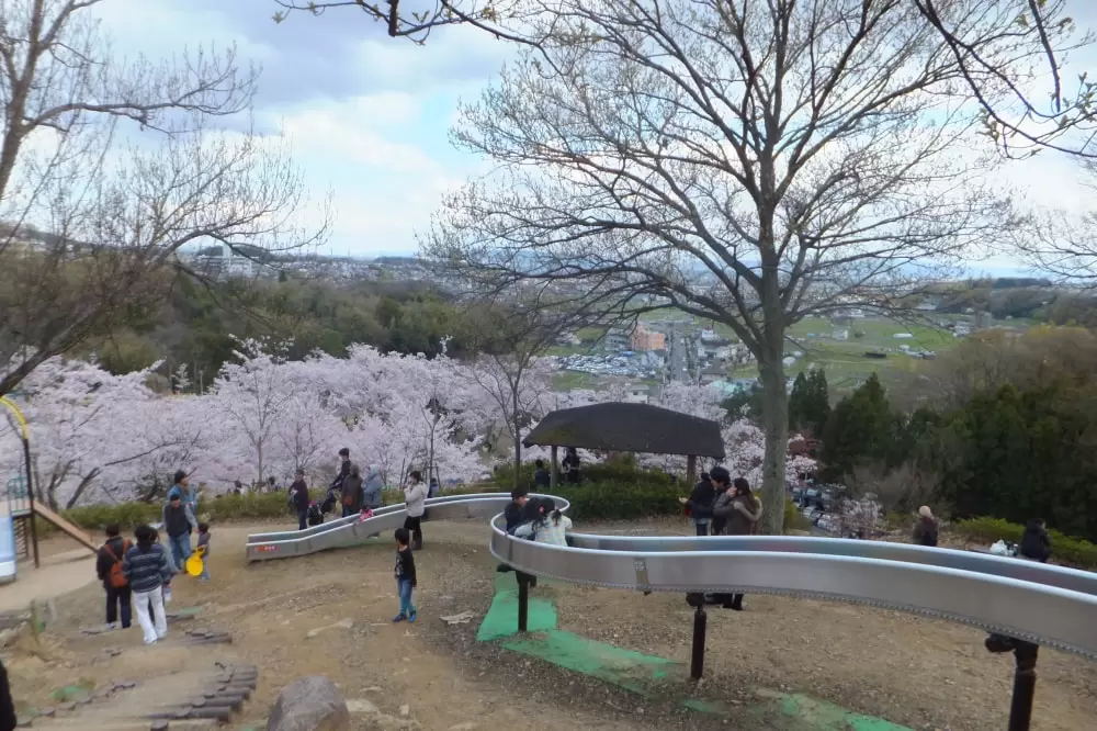 摂津峡公園の写真1