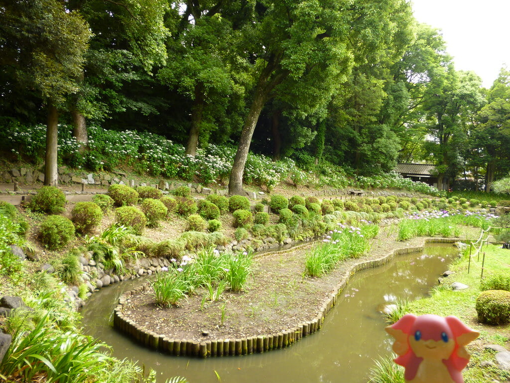 清澄庭園の写真2