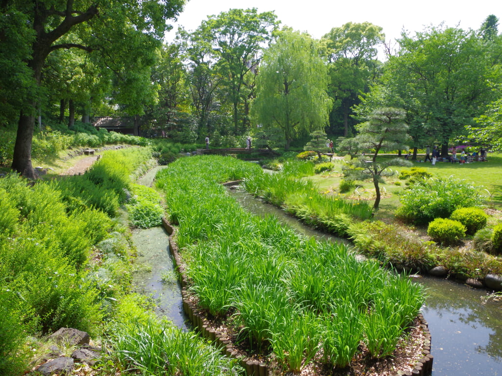 清澄庭園の写真4