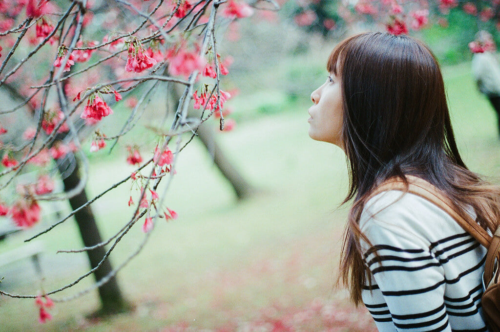 清澄庭園の写真6