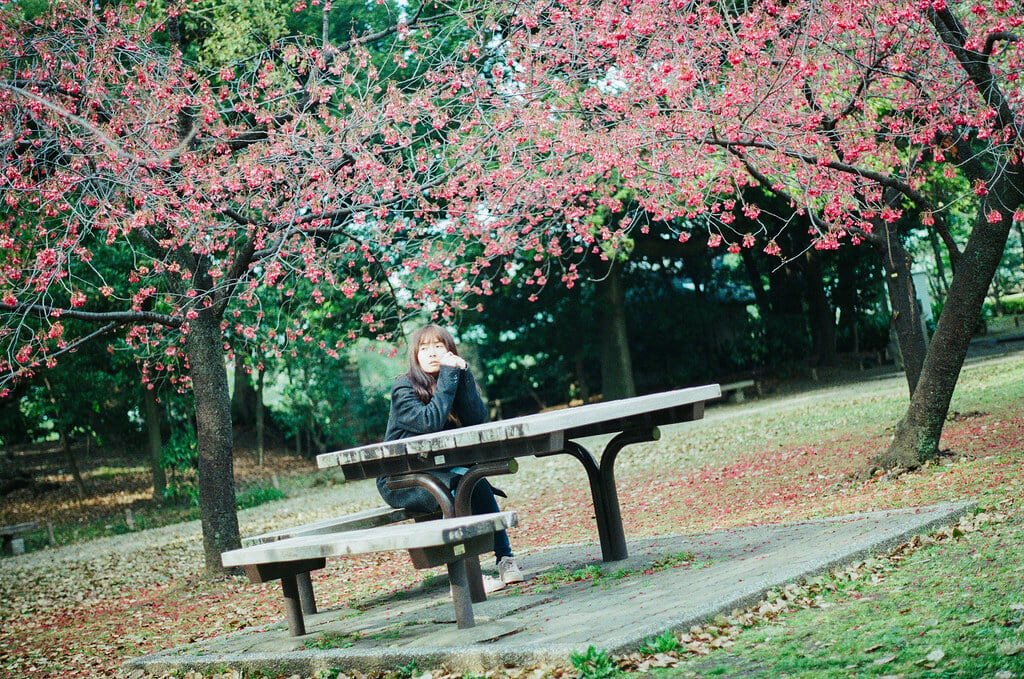 清澄庭園の写真7