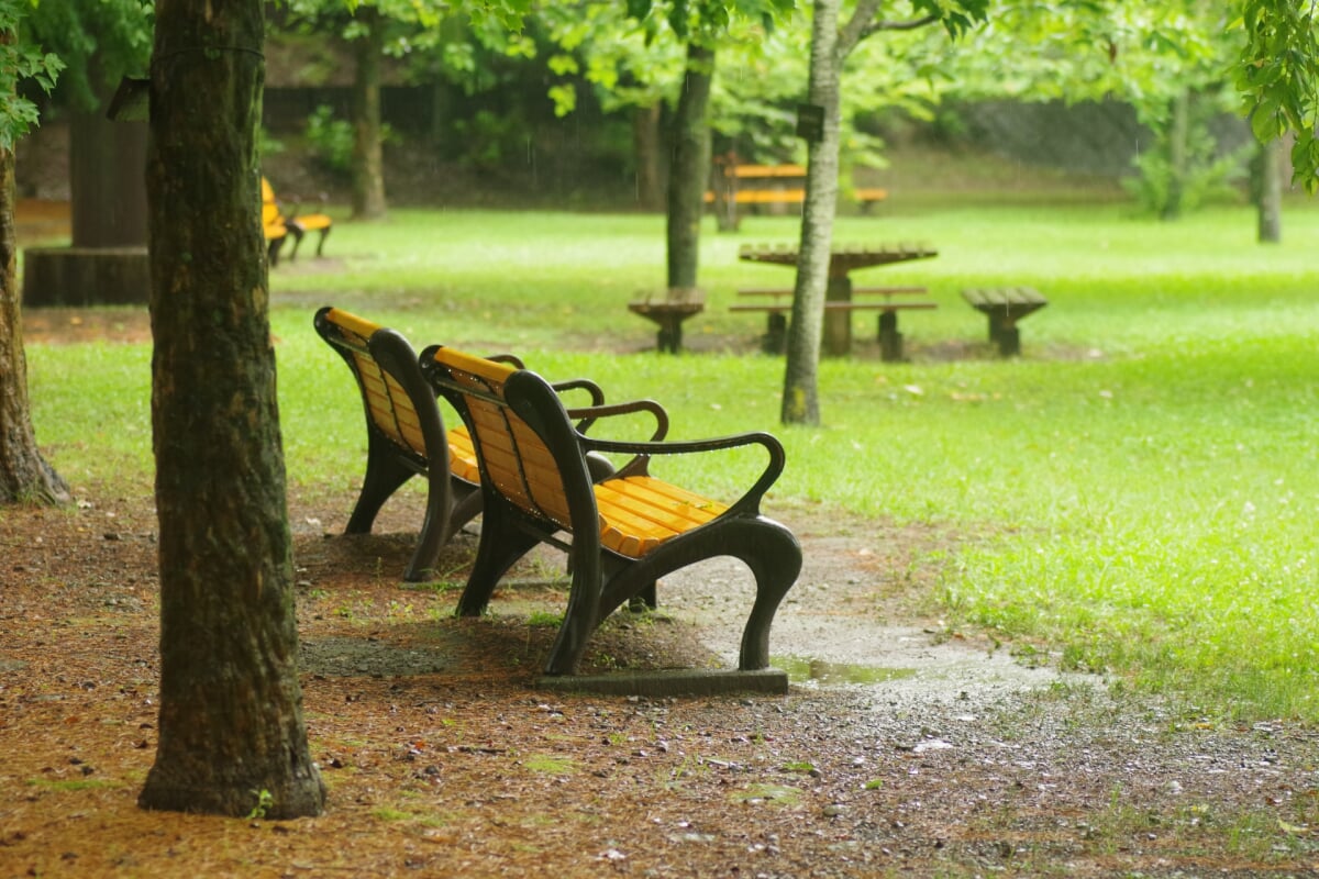 都立陵南公園の写真4