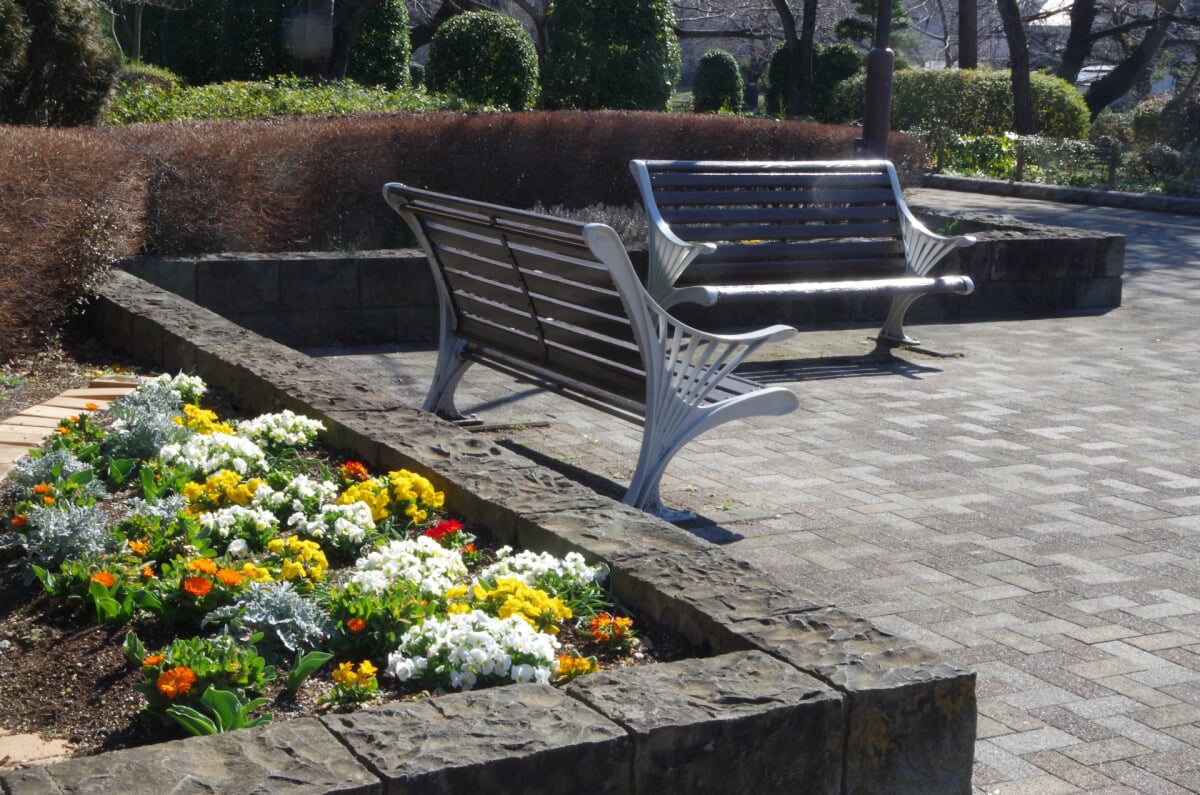 都立陵南公園の写真7