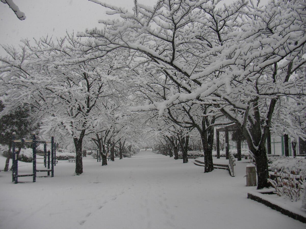 都立陵南公園の写真9
