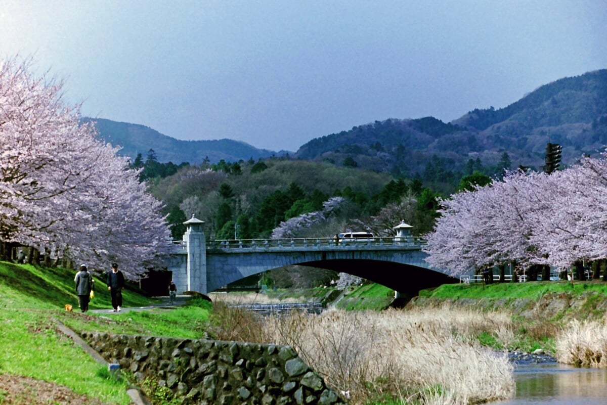 都立陵南公園の写真12