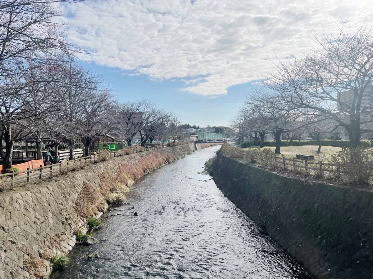 都立陵南公園の写真17