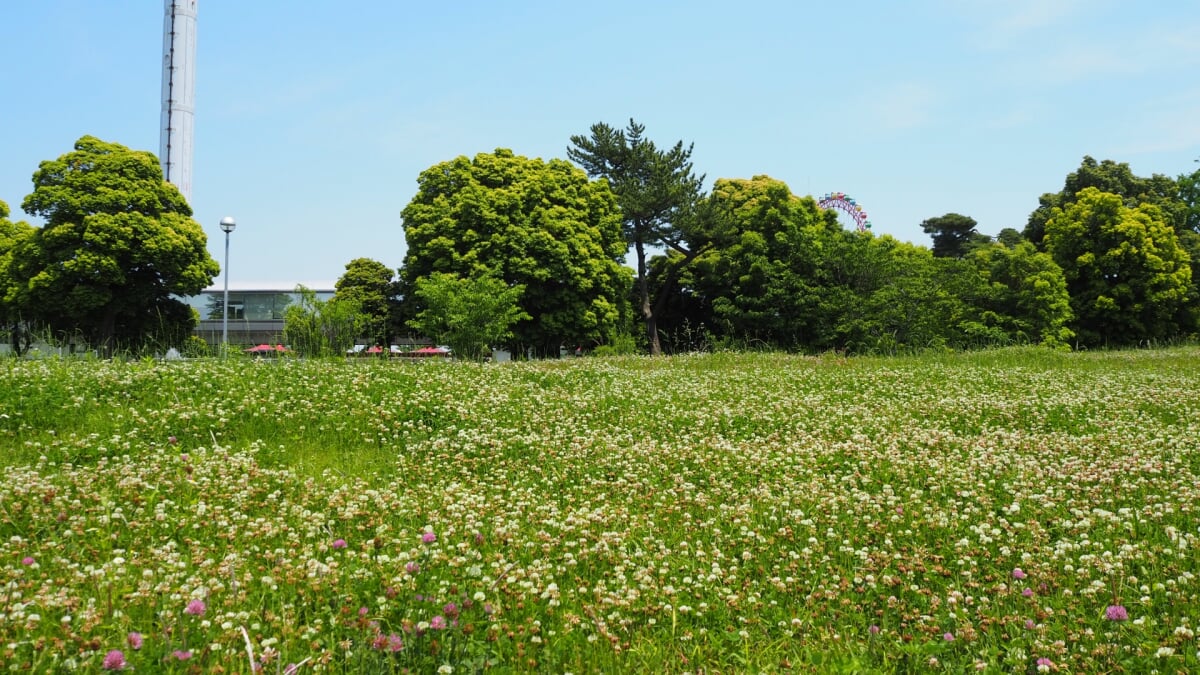 都立狭山公園の写真2