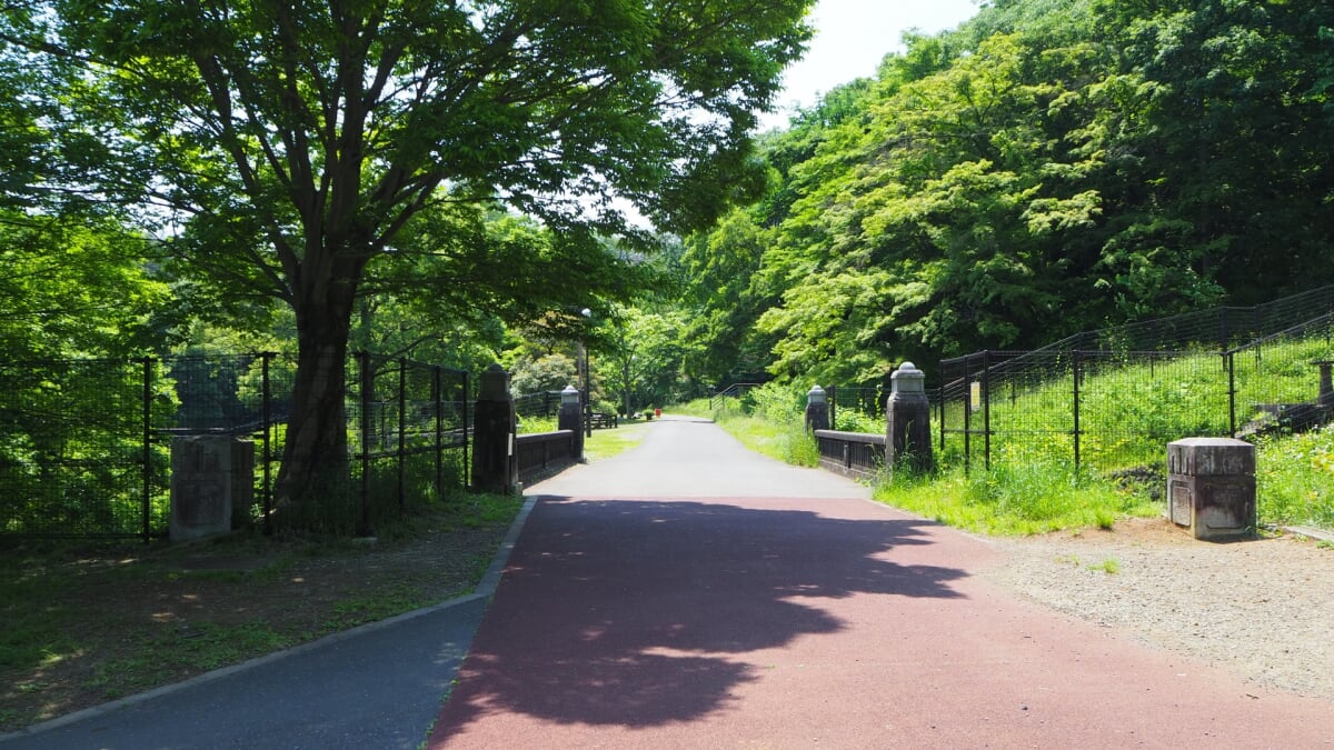 都立狭山公園の写真4