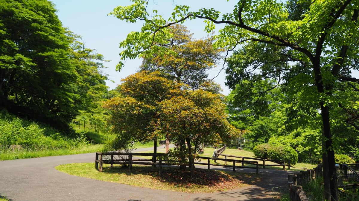 都立狭山公園の写真5