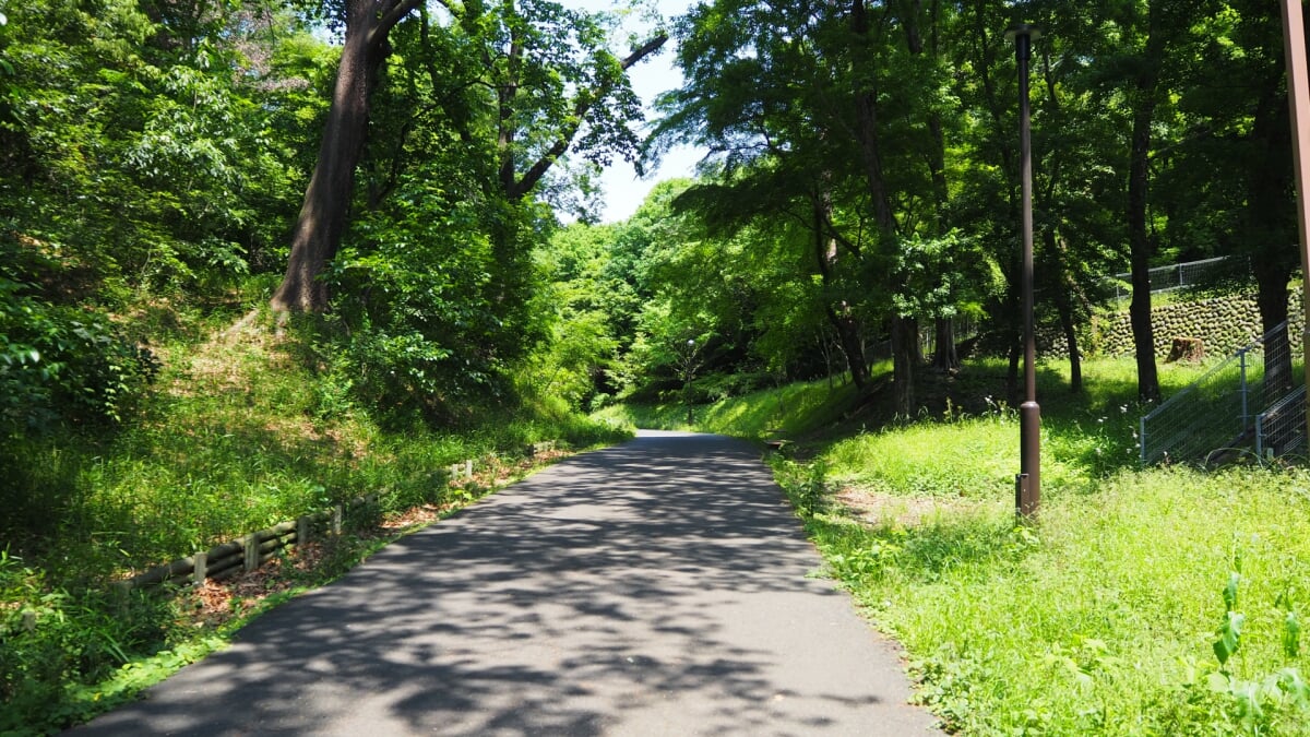 都立狭山公園の写真6