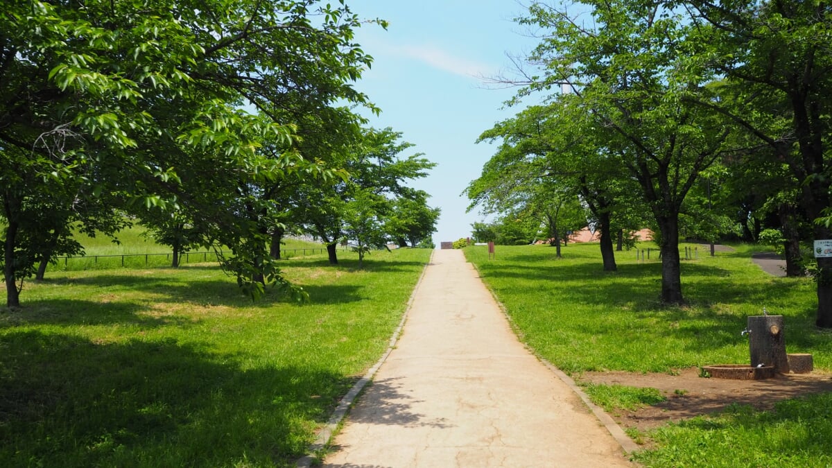 都立狭山公園の写真1