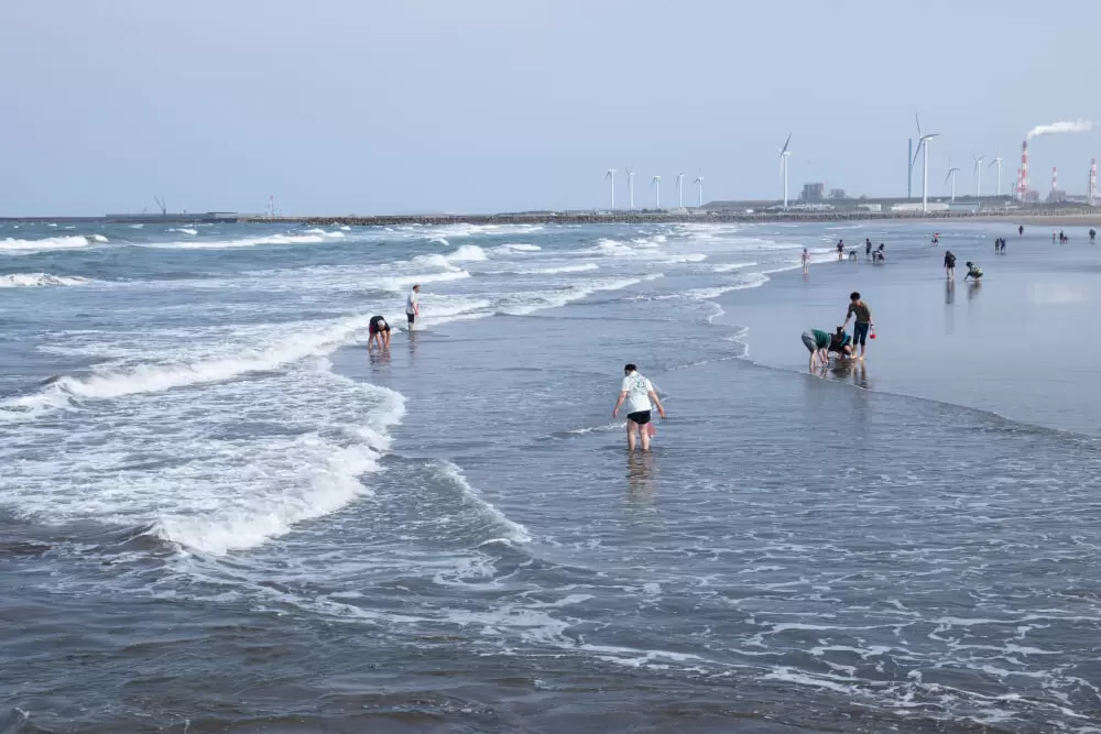 下津海水浴場の写真1