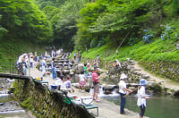 千早川マス釣場