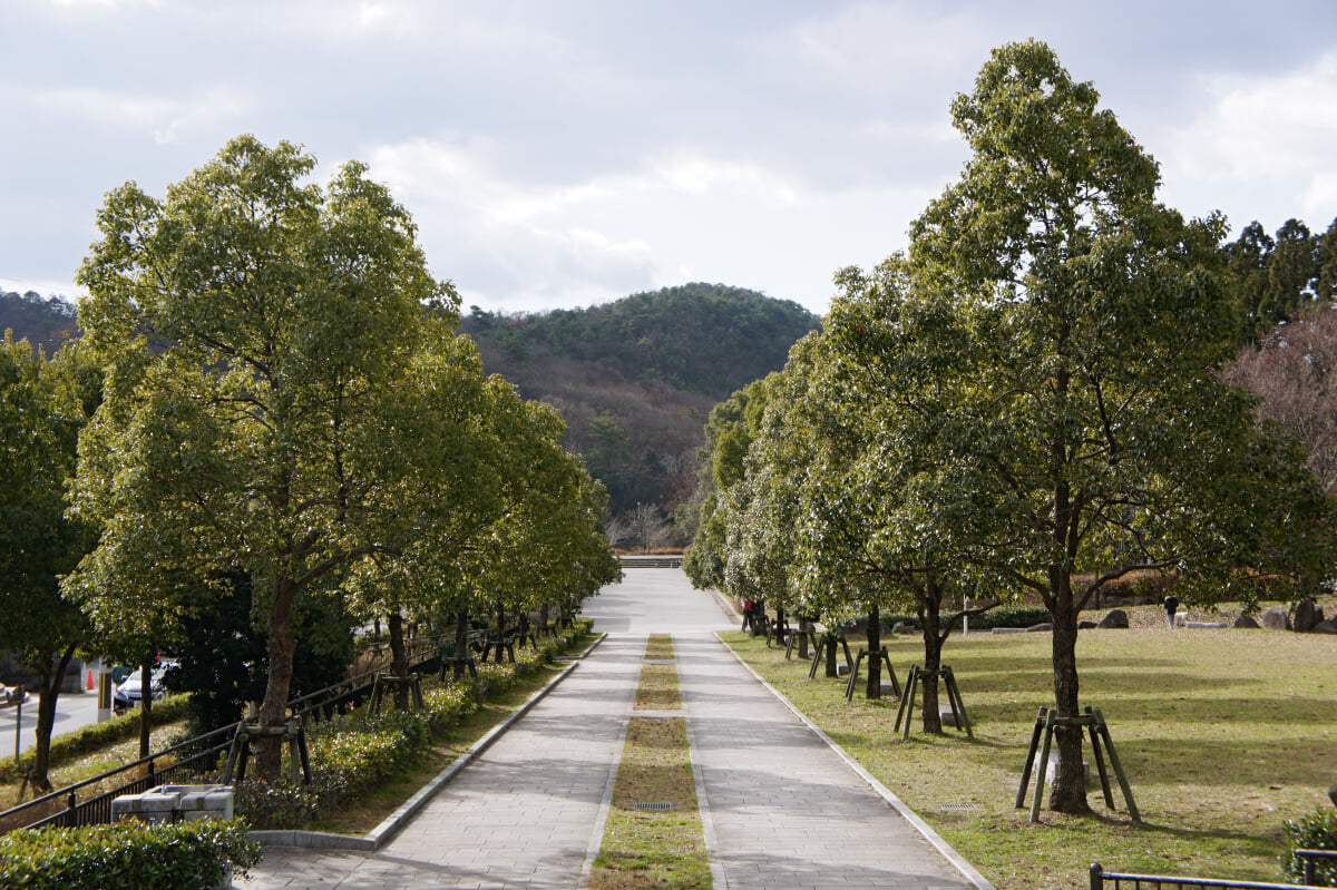 宝が池公園・子どもの楽園の写真6