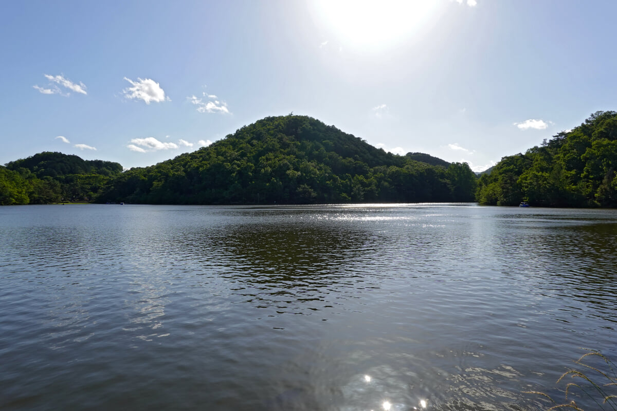 宝が池公園・子どもの楽園の写真9