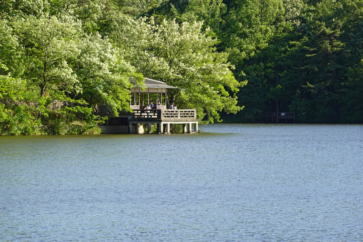 宝が池公園・子どもの楽園の写真12