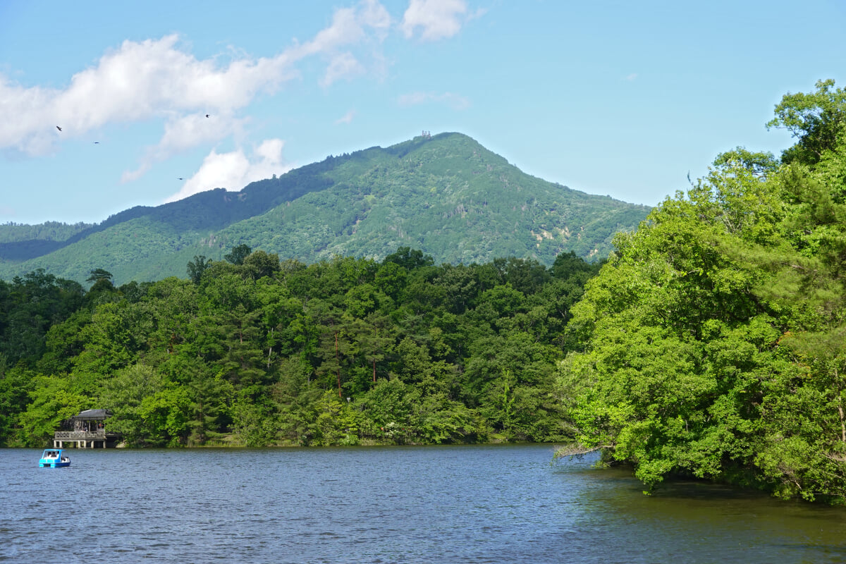 宝が池公園・子どもの楽園の写真14