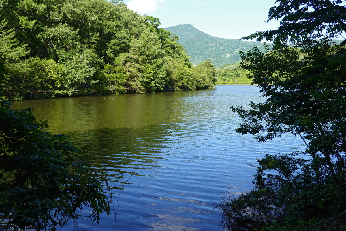 宝が池公園・子どもの楽園の写真15