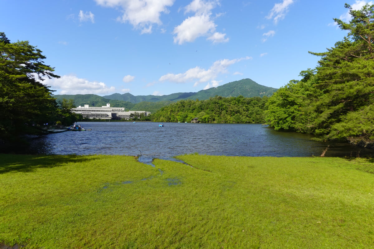 宝が池公園・子どもの楽園の写真16