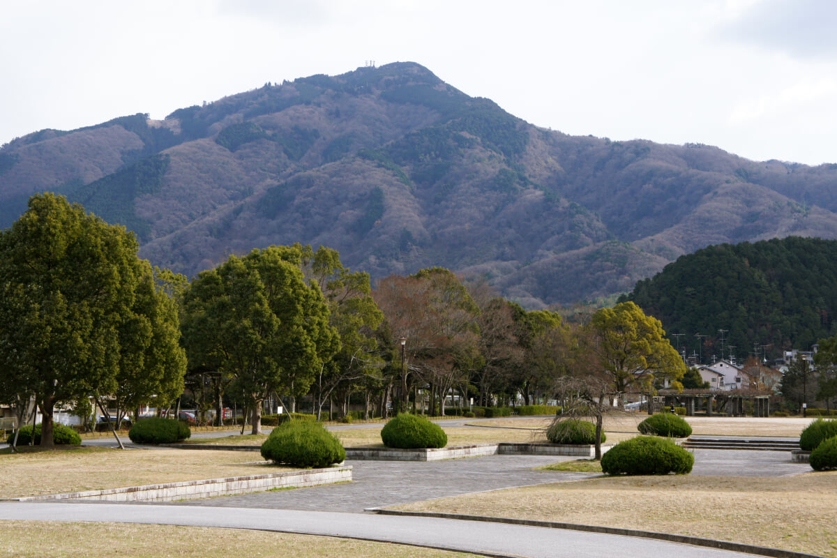 宝が池公園・子どもの楽園の写真17
