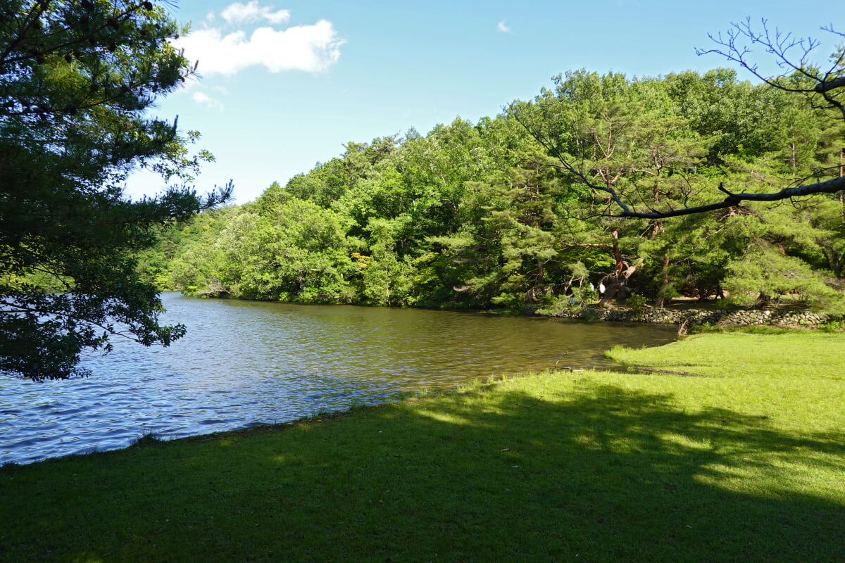 宝が池公園・子どもの楽園の写真18
