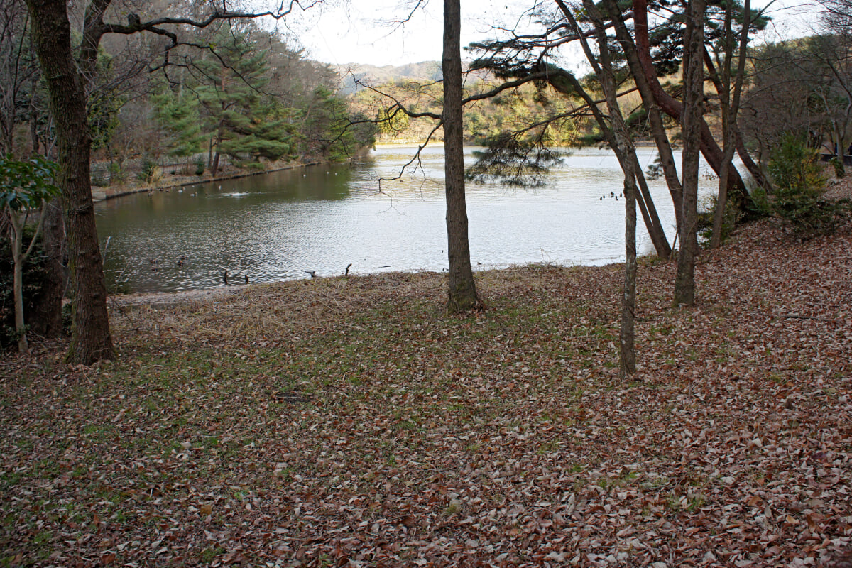 宝が池公園・子どもの楽園の写真19
